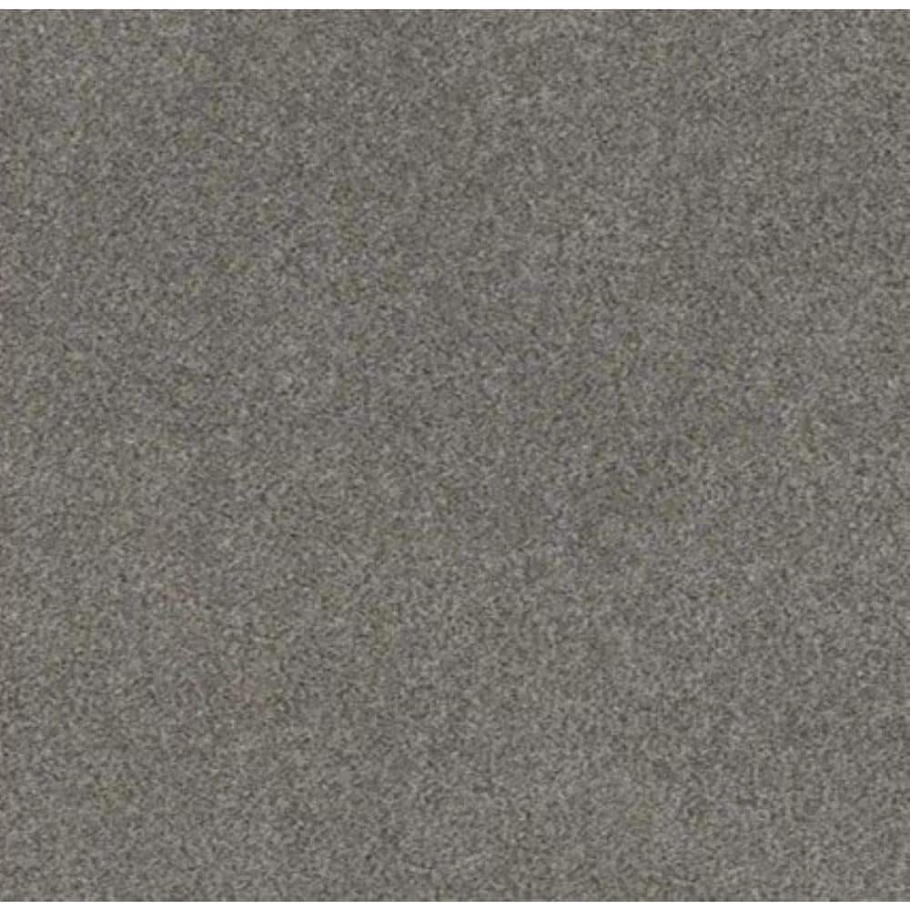 8 in x 8 in.  Texture Carpet Sample - Columbus I - Color Armor price history on PriceWatchPro