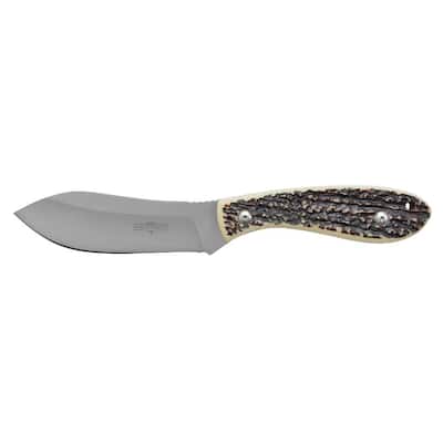 WESTERN Pronto 3.25 in. Titanium Bonded Drop Point Straight Edge ...
