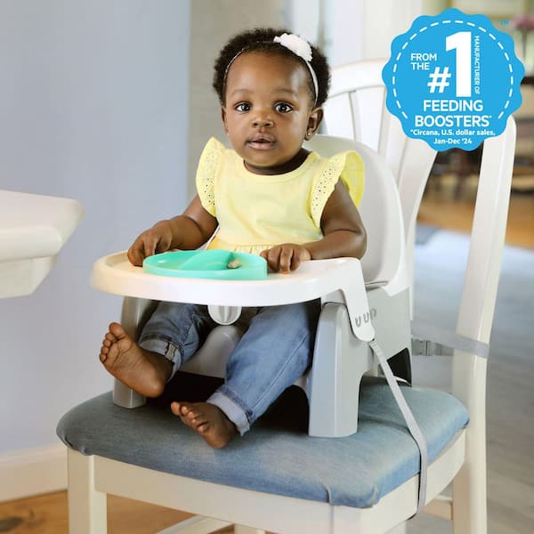 Deluxe Learn-to-Dine Feeding Seat