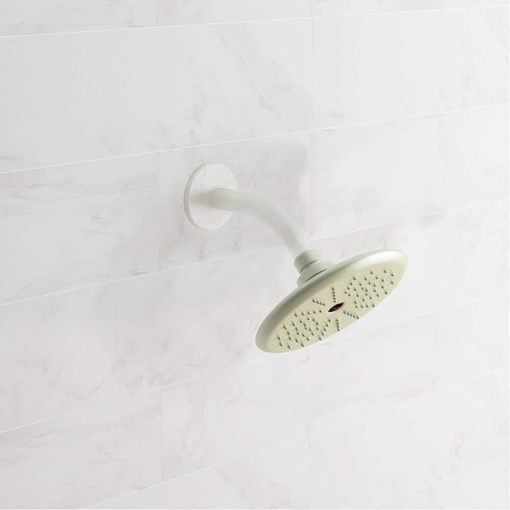 Stainless Steel Single-Setting Raincan Shower Head