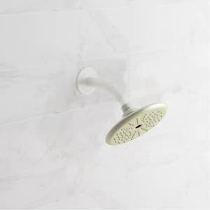 Rizu 1-Spray Patterns 2.5 GPM 8.75 in. Wall Mount Fixed Shower Head in Stainless