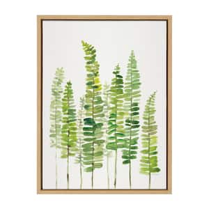 Sword Ferns by Patricia Shaw Framed Nature Canvas Wall Art Print 24.00 in. x 18.00 in.