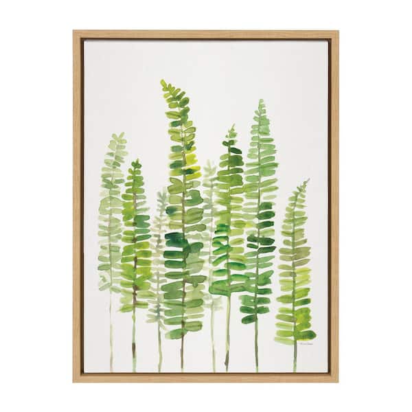 Kate and Laurel Sword Ferns by Patricia Shaw Framed Nature Canvas Wall Art Print 24.00 in. x 18.00 in.