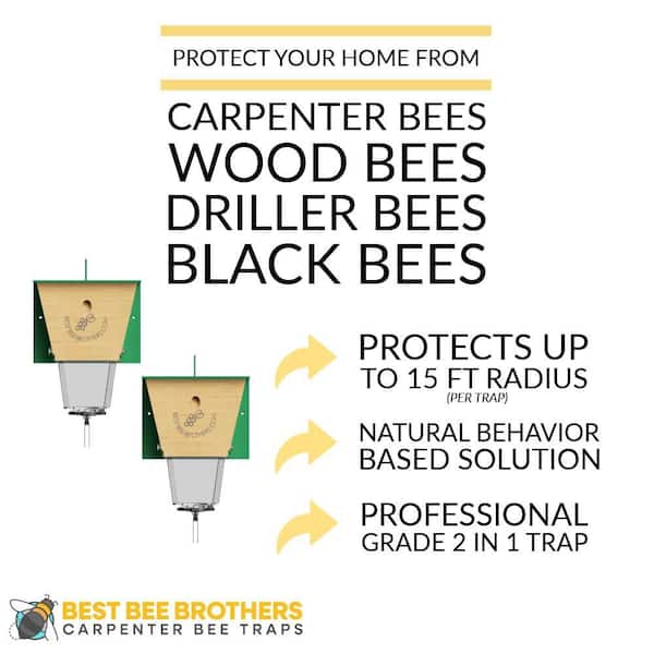 Ultimate Pro Carpenter Bee Trap with Bee Vault and Extra Large External Receptacle (2-Pack)