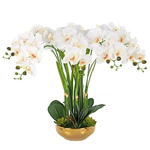 23.62 in. H Artificial Orchid Arrangement in Gold-Plated Ceramics Vase