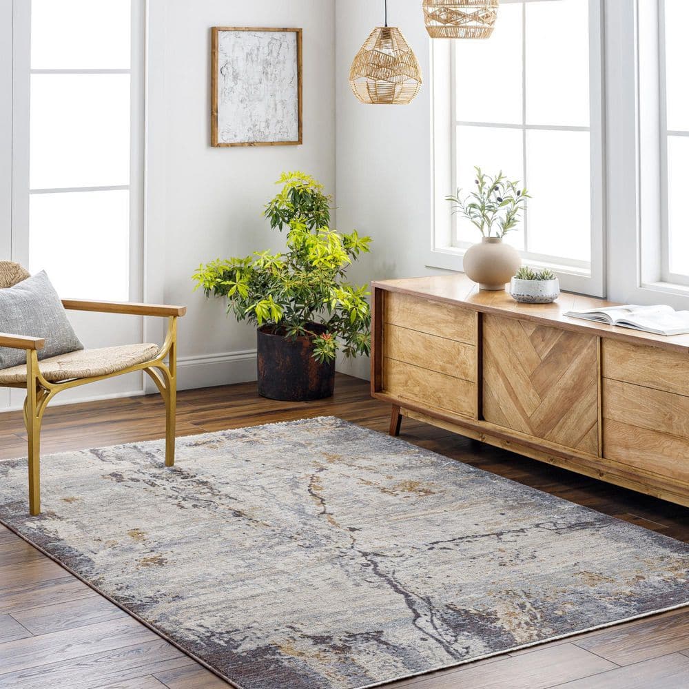 Aida Gray Modern Abstract 5 ft. x 7 ft. Area Rug price history on PriceWatchPro