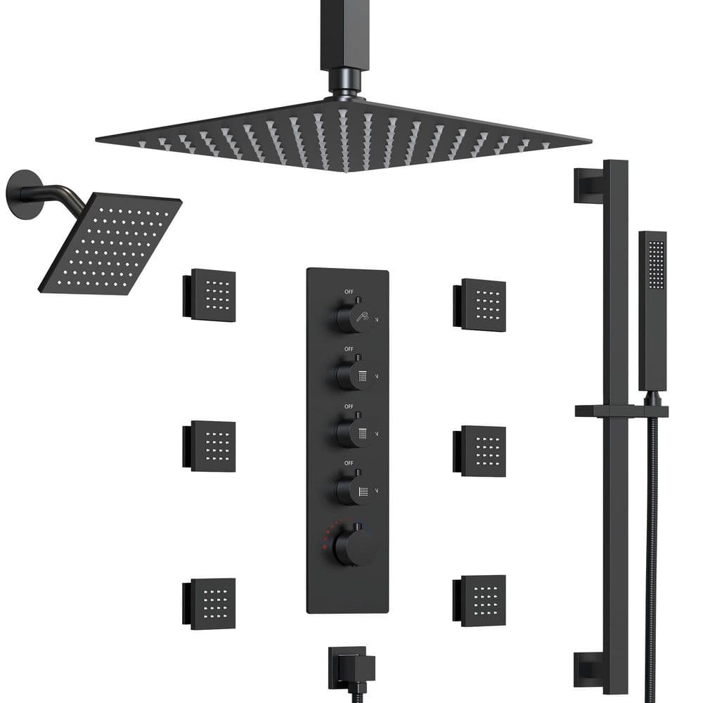 15-Spray Patterns 16 and 6 in. Ceiling Mount Dual Shower Head and Handheld with Sliding Bar 2.5 GPM in Matte Black price history on PriceWatchPro
