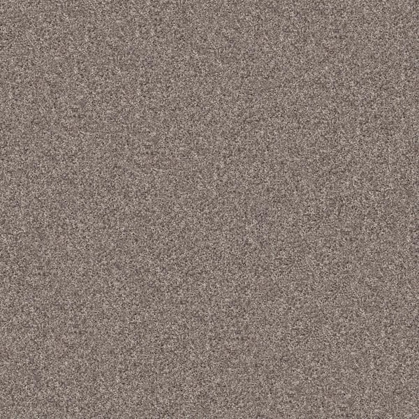 Home Decorators Collection Cherry On Top I Porch Swing Brown 42 oz. Solution Dyed Polyester Texture Installed Carpet