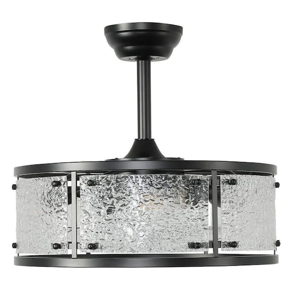 20 in. Indoor Black Flush Mount Boho Enclosed Acrylic Ceiling Fan with Light and Remote Control 6-Speed Reversible Motor