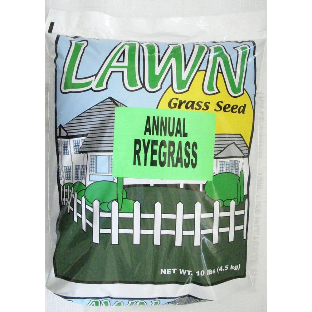 Stover Seed Annual Ryegrass Seed 60010-9 - The Home Depot