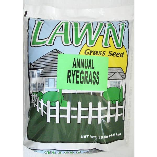 Stover Seed Annual Ryegrass Seed