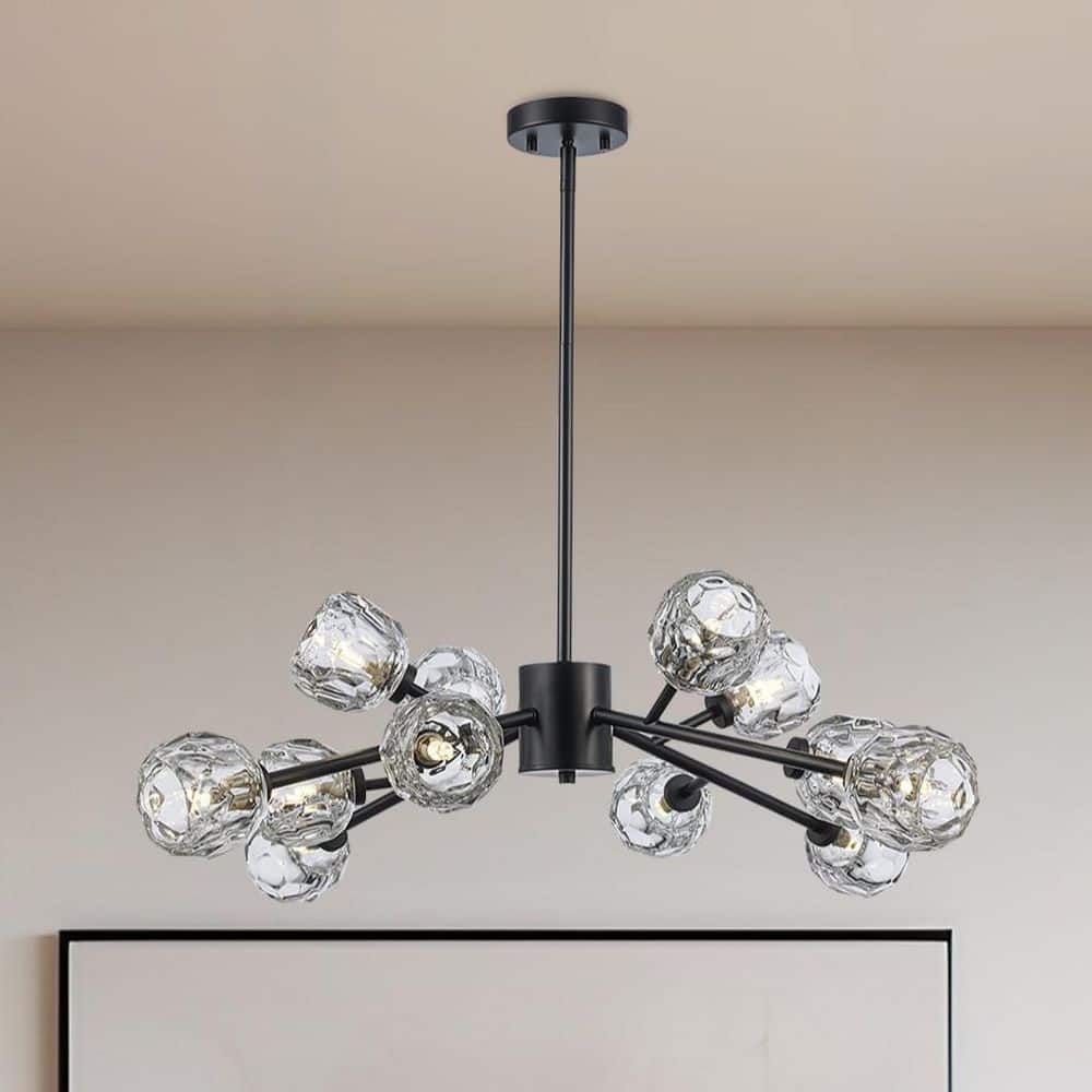 Sequoia 12-Light Black Modern Sputnik Chandelier Light Fixture with Clear Glass Shades price history on PriceWatchPro