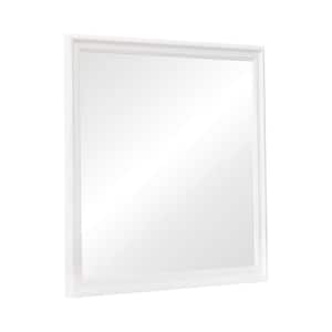 1 in. W x 38.25 in. H Wooden Frame White Wall Mirror
