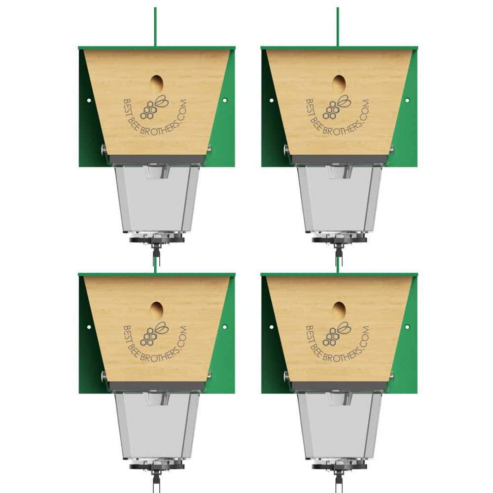 Best HD Pictures about  Best Bee Brothers Carpenter Bee Trap  with No AI Images