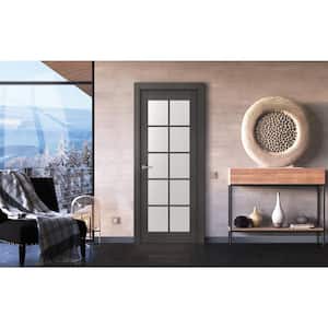 24 in. x 80 in. Avanti Black Apricot Finished Solid Core Wood 10-Lite Frosted Glass Interior Door Slab No Bore