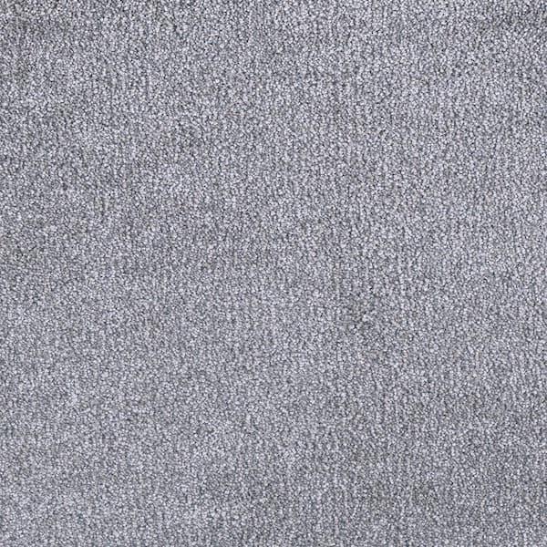 Perfected II  - Classy - Gray 60 oz. SD Polyester Texture Installed Carpet