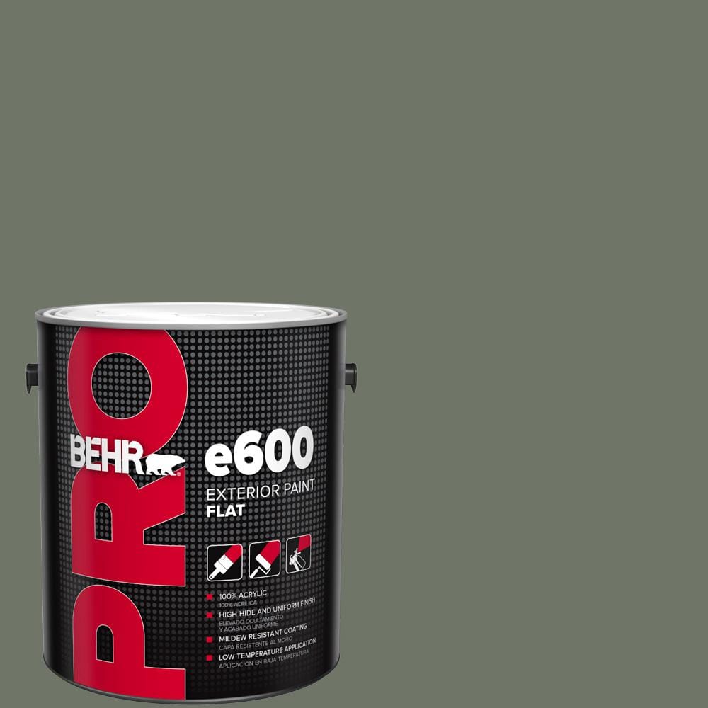 1 gal. #BXC-72 Evergreen Trail Flat Exterior Paint price history on PriceWatchPro