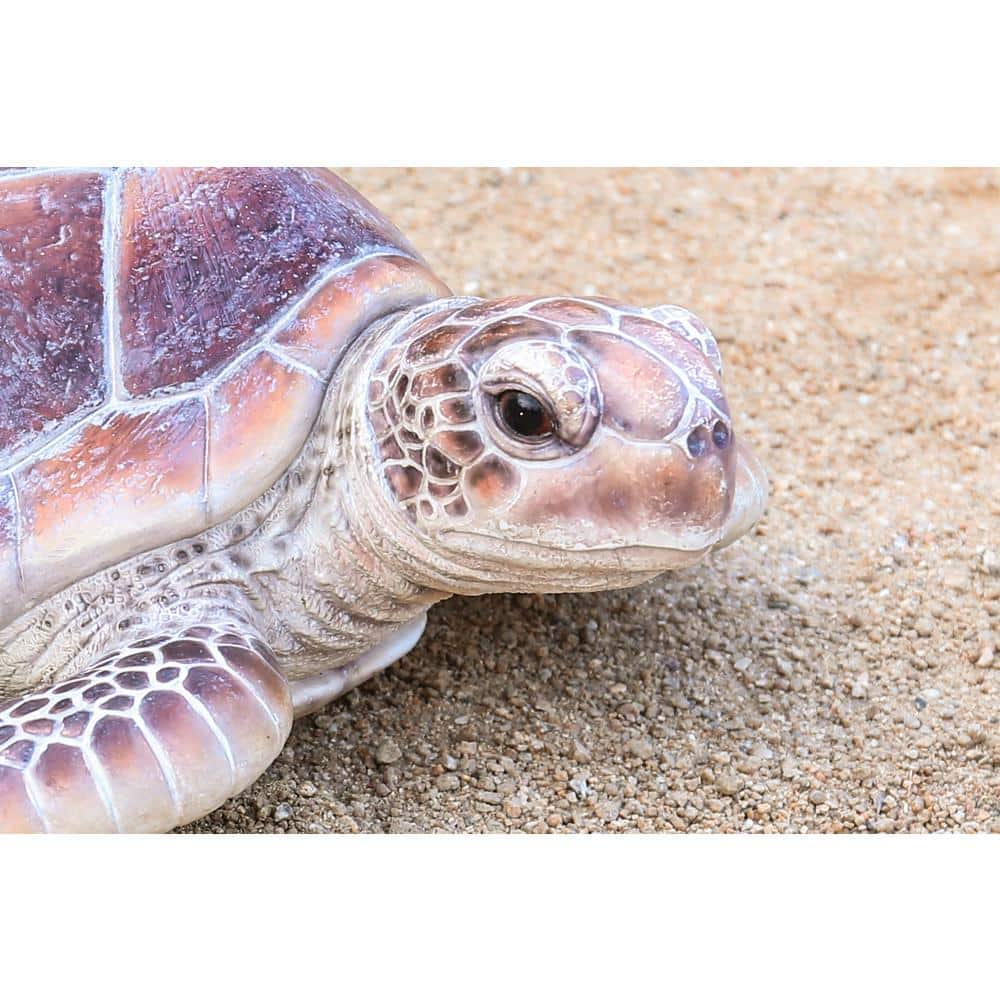 Large Realistic Driftwood Sea Turtle Polyresin Garden Statue