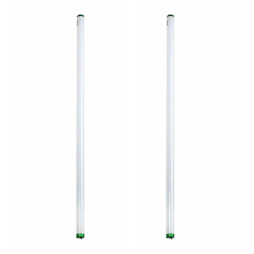 Philips 32 Watt 4 Ft Linear T8 Fluorescent Tube Light Bulb Bright White 3000k 2 Pack 226829 The Home Depot