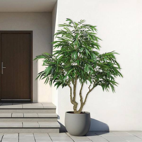 4 ft snake plant Snake Plant Laurentii | Low Light Indoor Plant main image 0