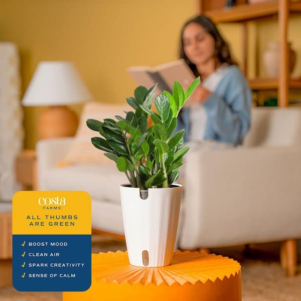 cheap indoor plant pots Modern Solid Wood Plant Stand + Pot