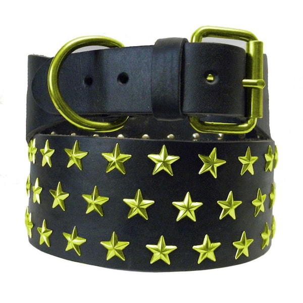 Platinum Pets 31 in. Black Genuine Leather Dog Collar in Lime Stars