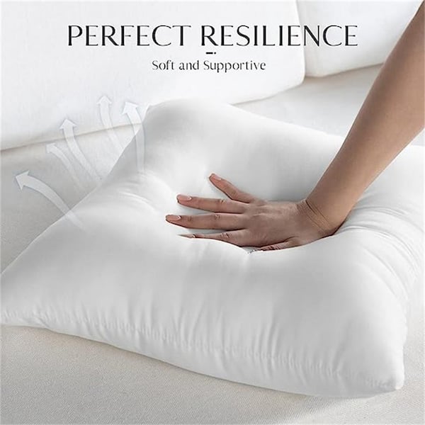 Outdoor 20 in. x 20 in. Pillow Inserts Set of 4 Water Resistant Throw Pillow  Inserts Hypoallergenic Pillow Insert B07H7FV7FL - The Home Depot