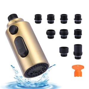 3-Function Kitchen Faucet Spray Head Replacement with 9-Adapters Kit in Gold