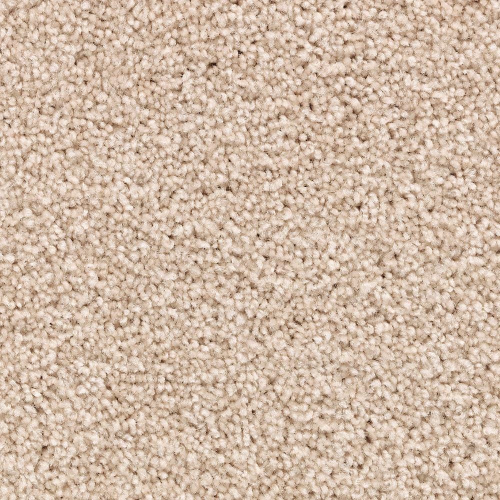 8 in. x 8 in. Texture Carpet Sample - Unblemished I -Color Horizon price history on PriceWatchPro