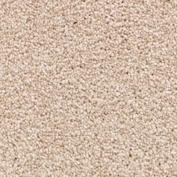Lifeproof 8 in. x 8 in. Texture Carpet Sample - Unblemished I -Color Horizon