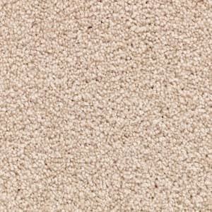 Unblemished II  - Horizon - Beige 55 oz. Triexta Texture Installed Carpet