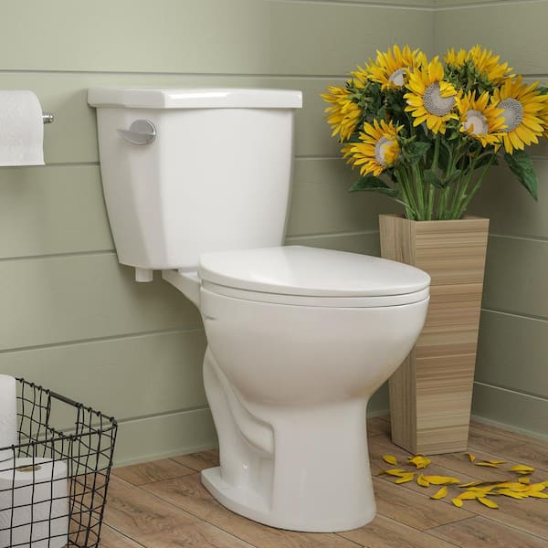 Dynasty ADA Compliant Height 2-Piece 1.28 GPF Single Flush 12 in. Rough in Size Elongated Toilet in White Seat Included