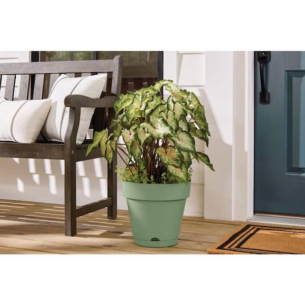 Vivienne Medium Green Plastic Round Self-Watering Planter with Attached Saucer (12 in. L x 12 in. W x 10.98 in. H)