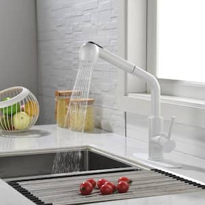Single Handle Pull Out Sprayer Kitchen Faucet with Deckplate Included in Matte White