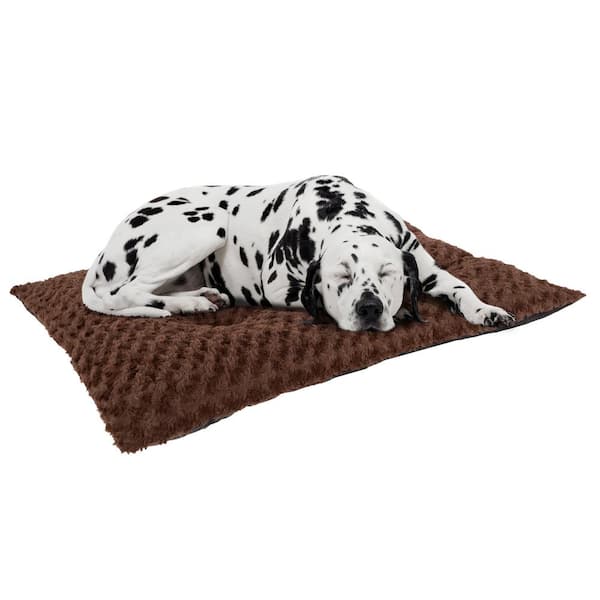 xx large dog bed