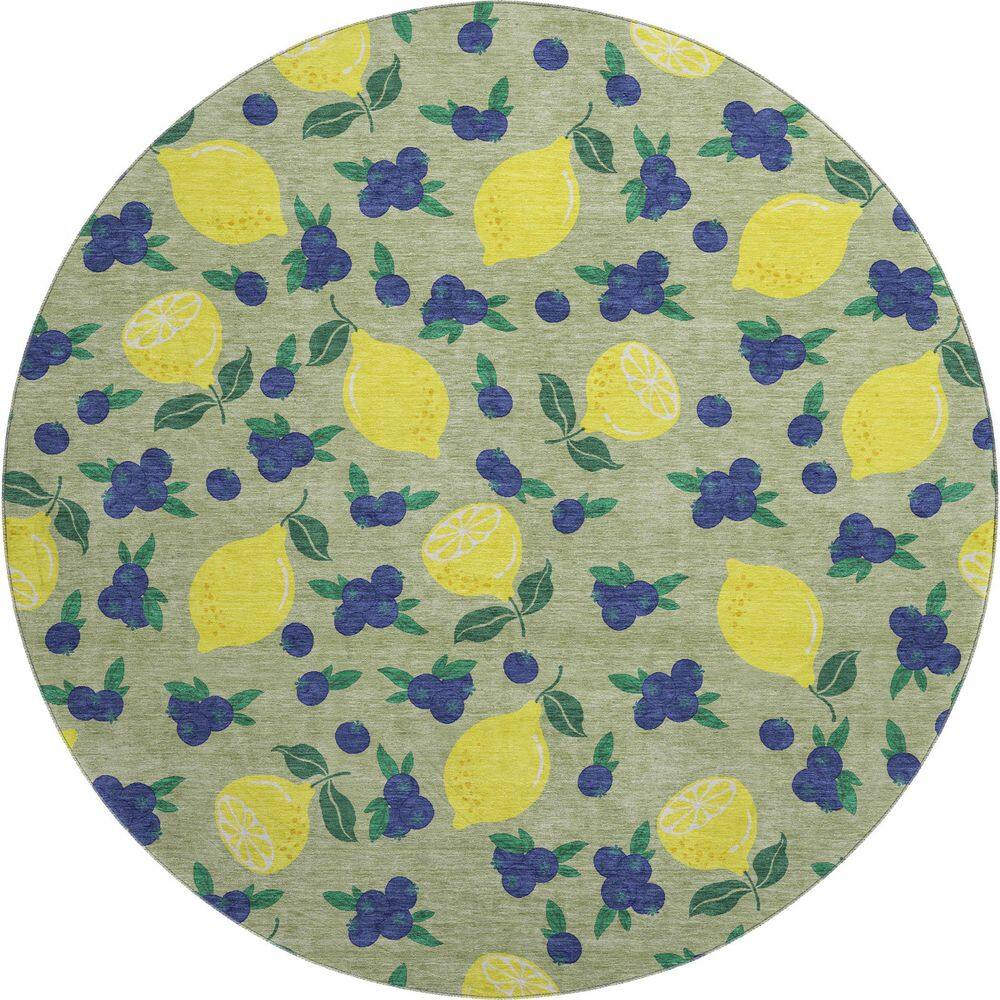 Mayfield Premium Machine Washable Abstract AMF2354 Aloe 8 ft. x 8 ft. Round Rug price history on PriceWatchPro
