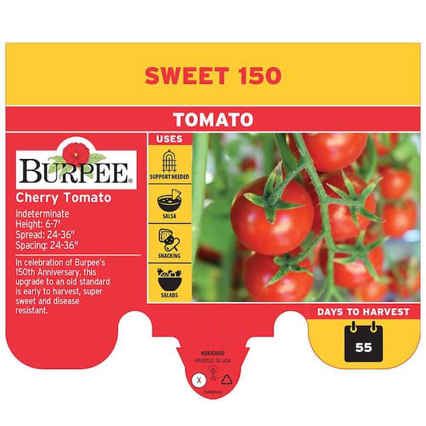 Burpee 3.5 in. Sweet 150 Tomato Plant (2-Pack) TOMS15RR8-3VB2