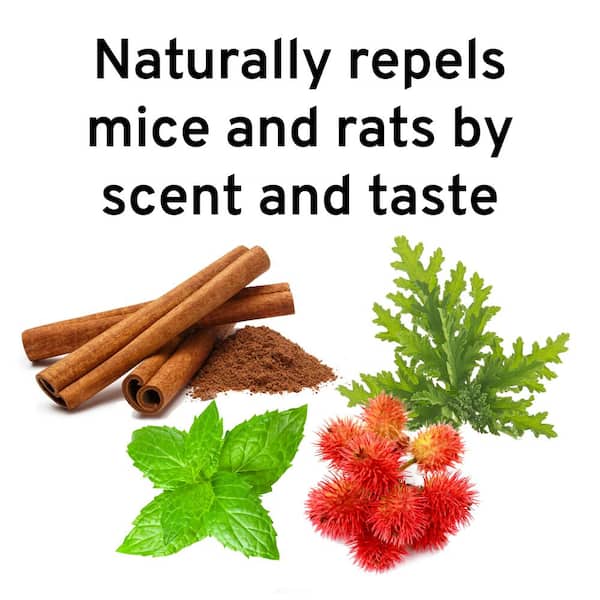 32 fl. oz. Mouse and Rat Repellent