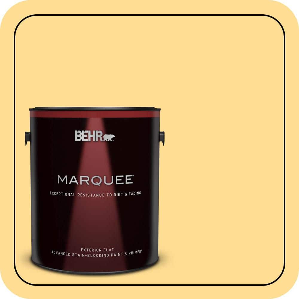 1 gal. #320B-4 Lemon Pound Cake Flat Exterior Paint & Primer price history on PriceWatchPro