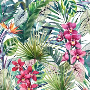 Aloha Tropical Multi Wallpaper Sample