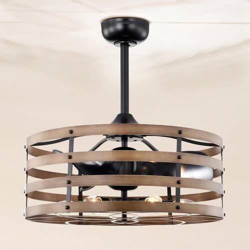 Alaina 24.6 in. Indoor Black and Brown Finish Ceiling Fan with Light Kit and Remote Included Ceiling Fans