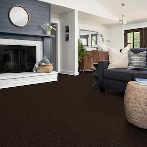 Alpine - Exploration - Brown 17.3 oz. Polyester Texture Installed Carpet