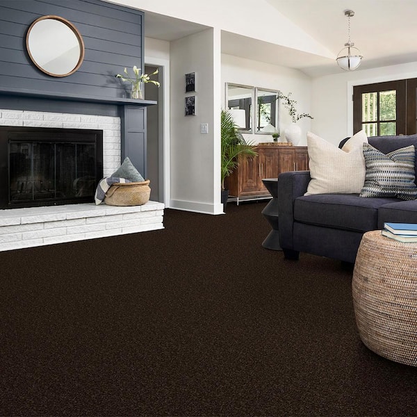 Alpine - Exploration - Brown 15 ft. 17.3 oz. Polyester Texture Carpet - Installation Required