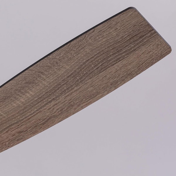 46 in. Indoor Boho Black Caged Ceiling Fan with Light Kit, Reversible Blades and Remote Included