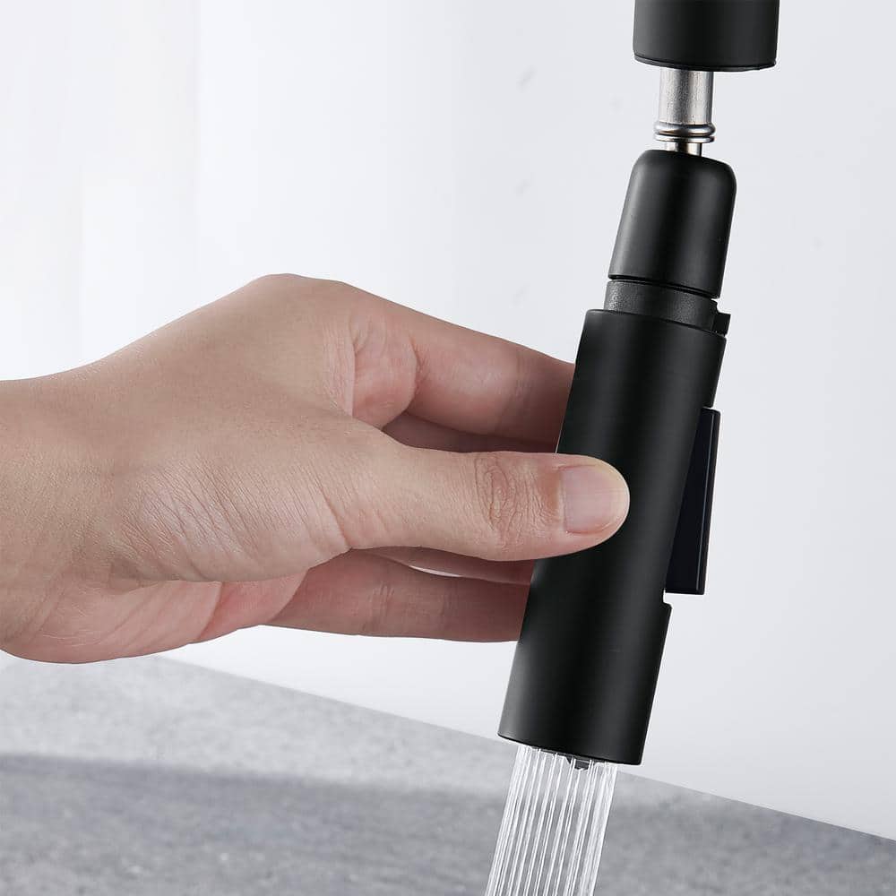 Matte Black Pull-Down Single Handle Kitchen Faucet with Spray