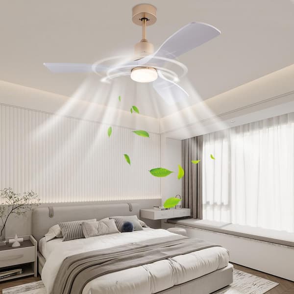 OUKANING 42 in. Indoor White and Gold Modern Ceiling Fan with 3 