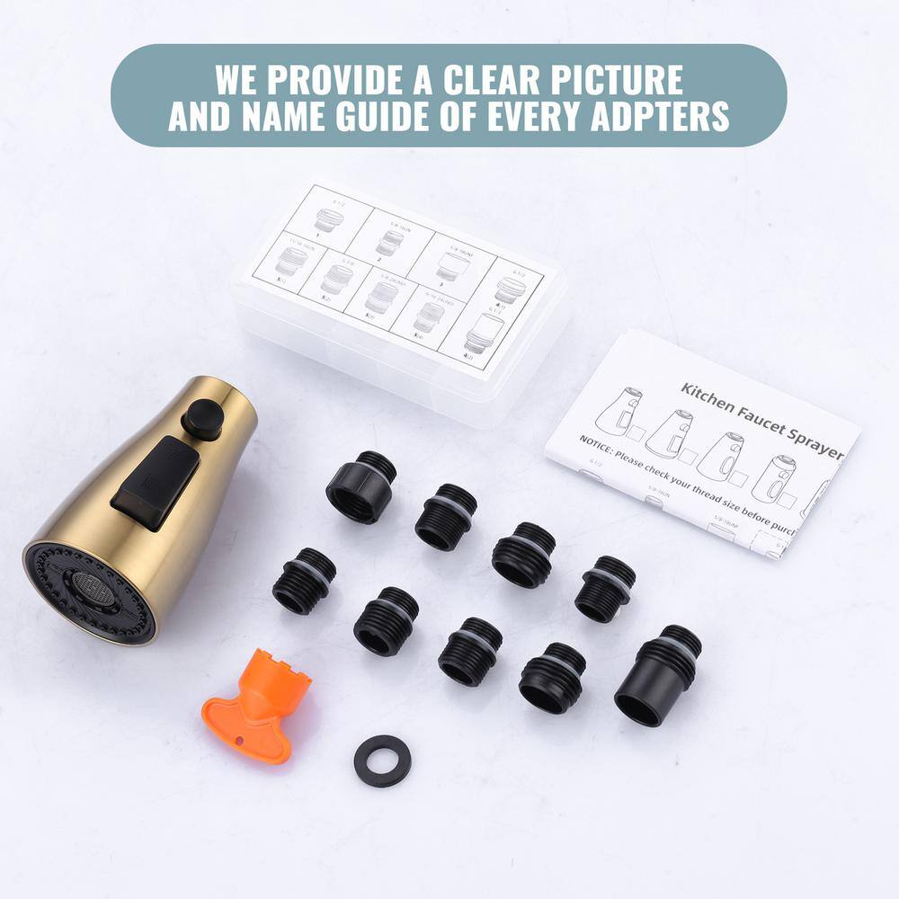 Brushed Gold 3-Function Kitchen Faucet Sprayer Head with Adapters
