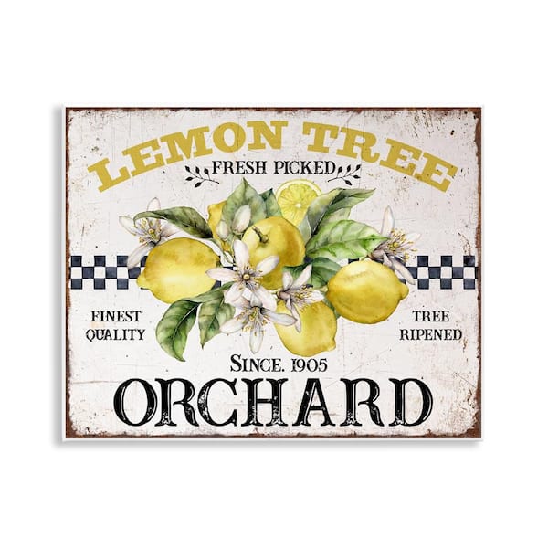 Lemon Tree Fresh Picked by Creatif Belle Unframed Food Graphic Art Print 11 in. x 14 in.