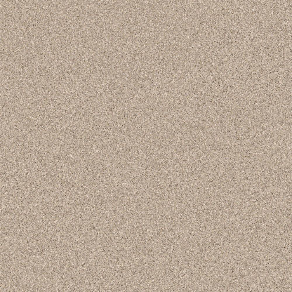 8 in. x 8 in. Texture Carpet Sample - Snug Sweets III - Color Linen price history on PriceWatchPro