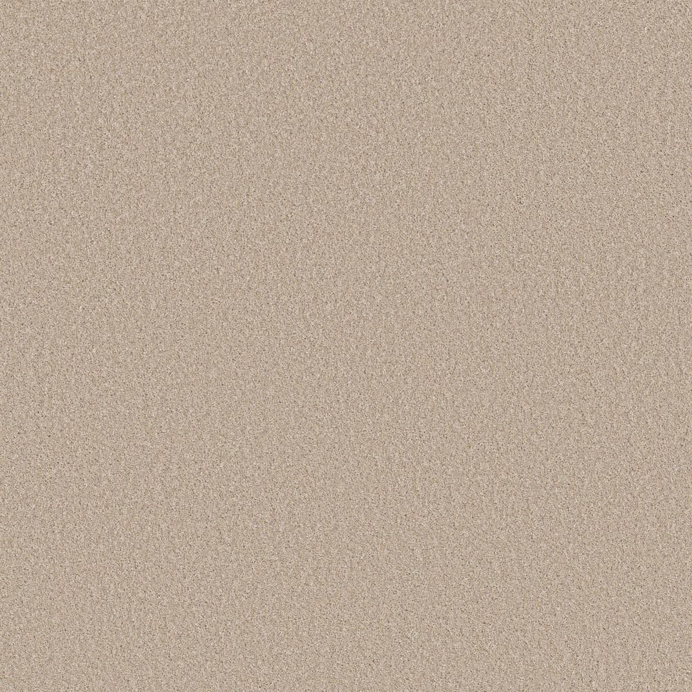 8 in. x 8 in. Texture Carpet Sample - Snug Sweets I - Color Linen price history on PriceWatchPro